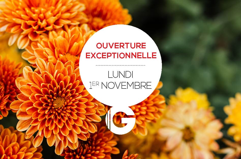 Ouverture exceptionnelle lundi 1er novembre 2021