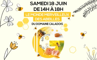 Le monde merveilleux des abeilles