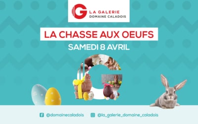 Grande chasse aux œufs !