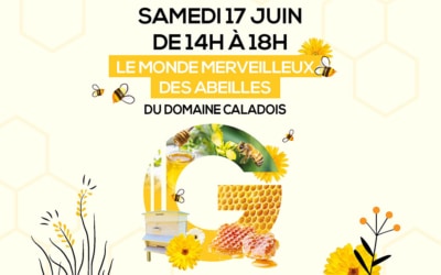 LE MONDE MERVEILLEUX DES ABEILLES