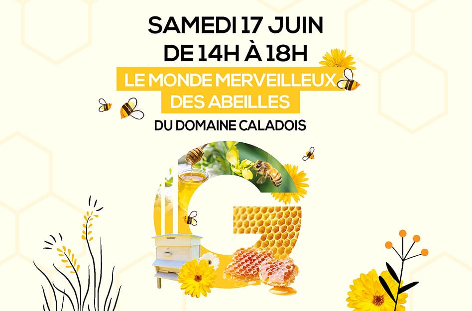 LE MONDE MERVEILLEUX DES ABEILLES