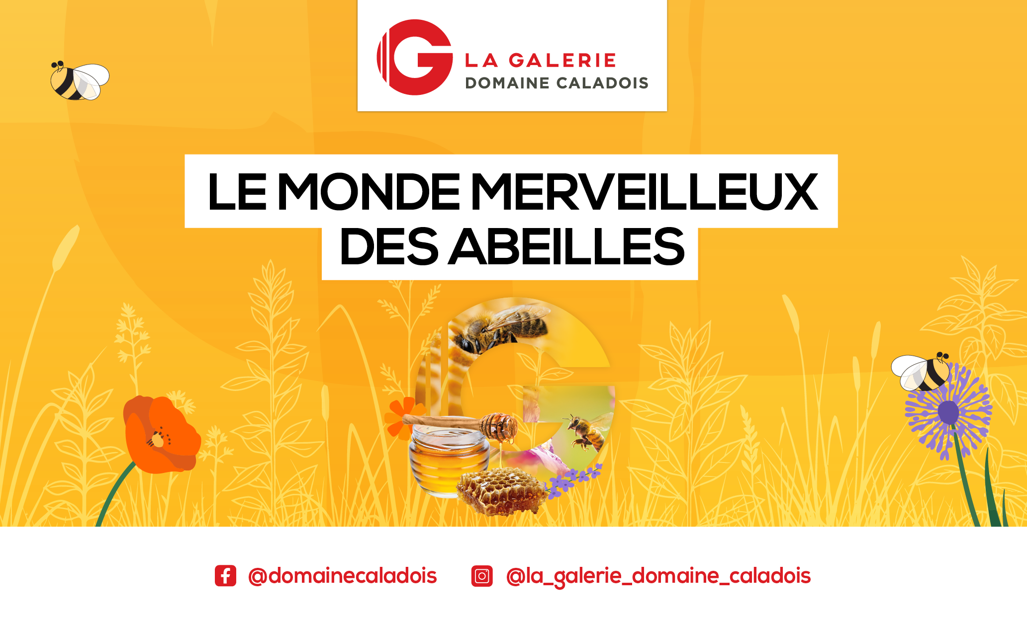 LE MONDE MERVEILLEUX DES ABEILLES